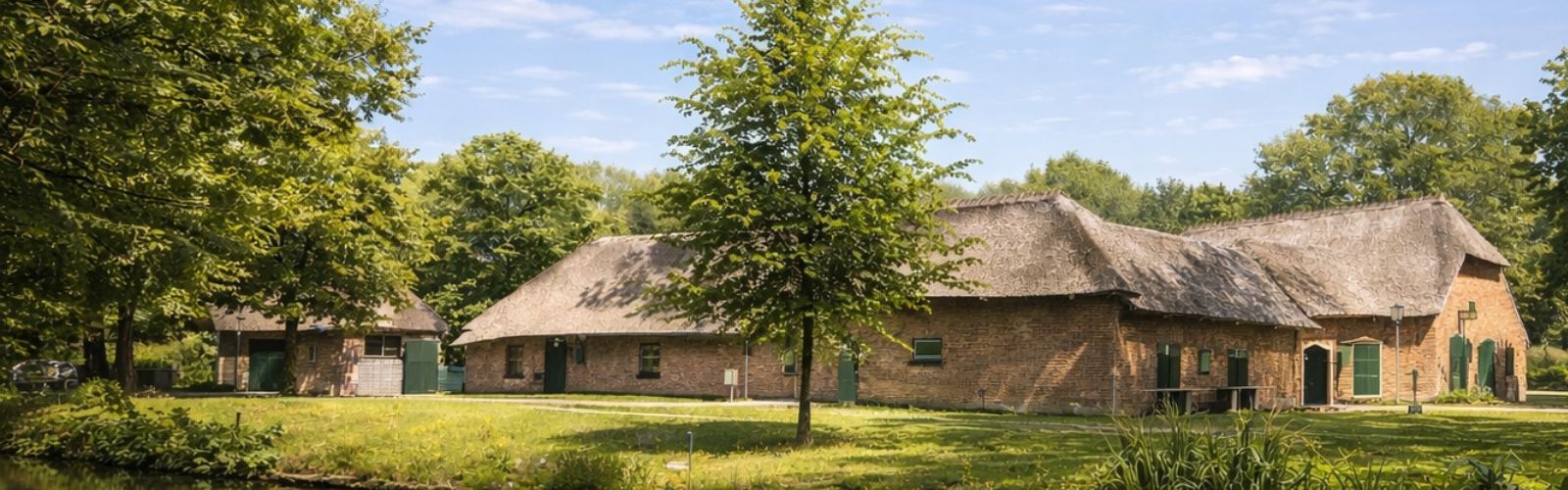 Pianostemmer in Veldhoven